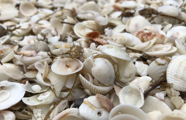 Villas Akamay - Foto 64