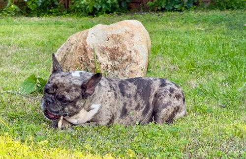 Villa Cocus - Photo 6