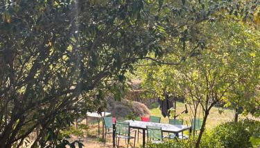 L'îlot Zen - Maison de charme en pierre - rénové - Foto 5