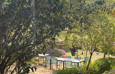 L'îlot Zen - Maison de charme en pierre - rénové - Photo 5