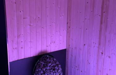 HTS Haus Respirada Wellnessarea, Whirlpool, GYM, Sauna - Foto 31