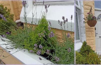 Home from Home near LFC & train station - Foto 38