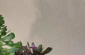 Sangida Home - Foto 12