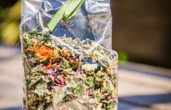 Appartements Kirchtalhof - Photo 33