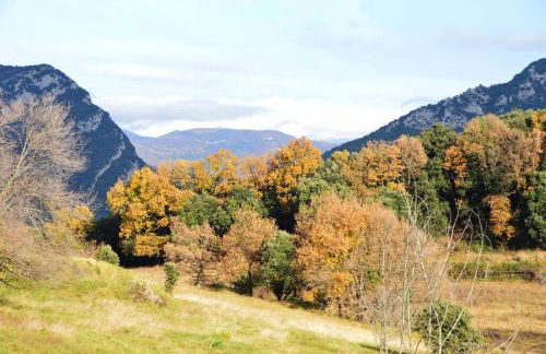 Rectoría de Castellar - Foto 50