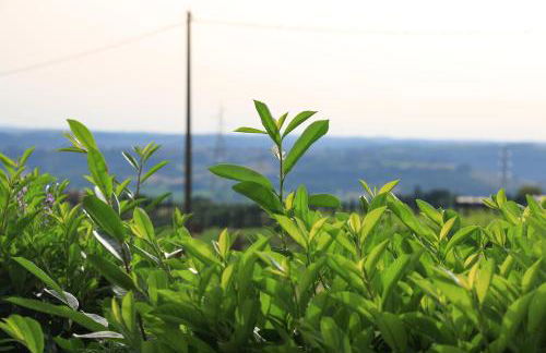 La Palombara - Foto 66