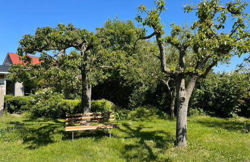 Auszeit am Focker Strom - Foto 21