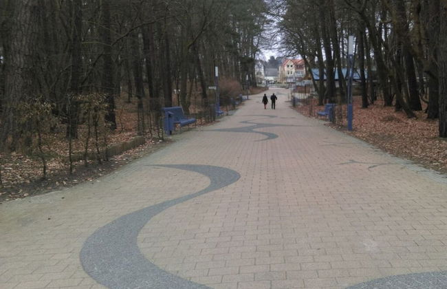 Wood in Zempin/usedom - Foto 13