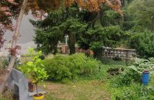 Ferienwohnung Waldglück - Photo 17