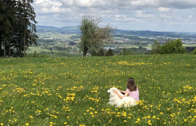 Apartment in the Waxenegg Country House - Photo 21