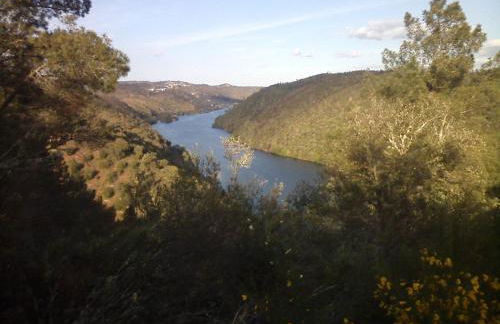 Apartamentos Rurais - Casas do Lagar - Foto 23