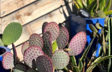 Urban Luxe Retreat l King Bed l Kitchenette - Photo 37