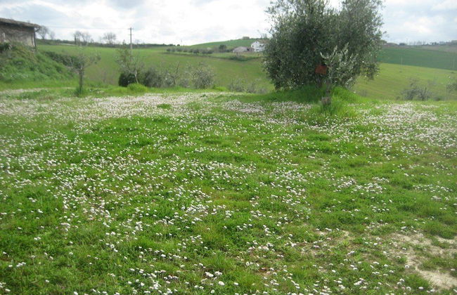 I Tre Filari - Foto 23