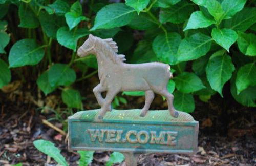 Ferienwohnung auf Pferdehof bei Neustadt - Foto 23