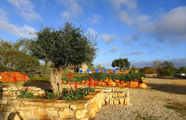 CIP V8 Gold - New!!! - Foto 40