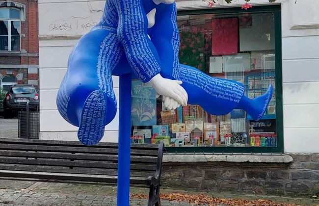 Heritage Villa in Spa With Garden - Photo 35