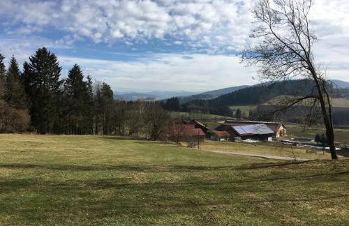 Ferienhaus in Konzell mit Terrasse - Foto 7