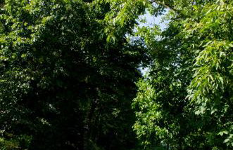 Apartment Luno - Foto 47