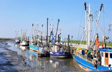 Ferienhaus Juna am Nordseedeich - Foto 13