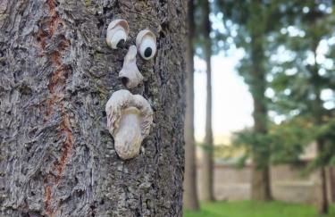 Chalet del Lago Laceno - Foto 61