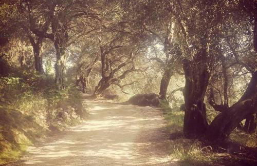 Old cottage in Town - Foto 69