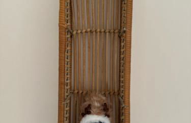 Le Nichoir de la Colline - Parking & Wifi - Foto 39