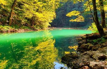 Apartman Denis - Foto 13