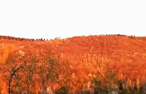 Hotel rural El Jardin del Conde - Foto 22