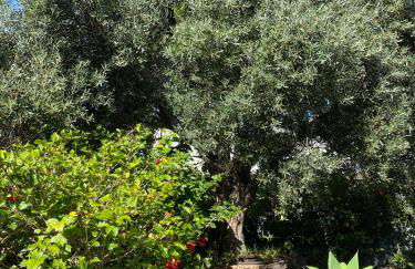 Bordal Houses Casa da Areia - Foto 2