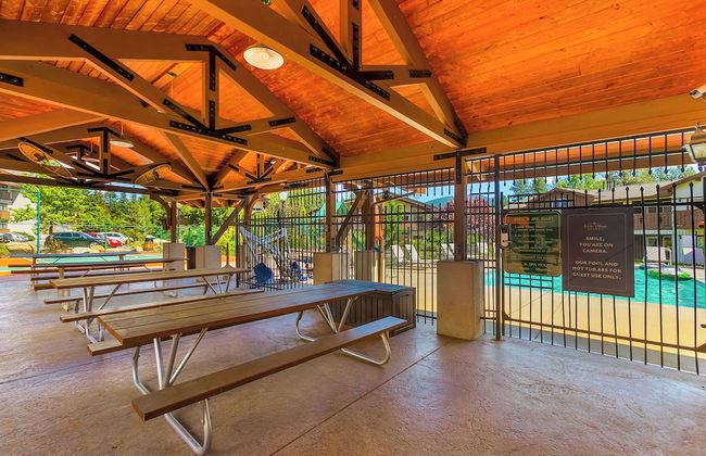 Dasha's Snowboard Track - Icicle Village - Foto 21