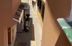 Luxury Beachfront Appartment - Photo 4