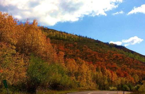 Pet-Friendly Yurt for an Off-the-Grid Getaway near Hyrum, Utah - Foto 14