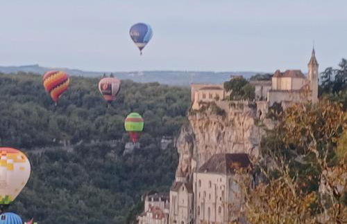 Manoir du Boscau, Louis IX - Foto 30