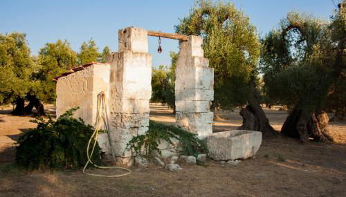 grottedisileno - Foto 5