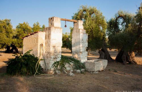 grottedisileno - Foto 5