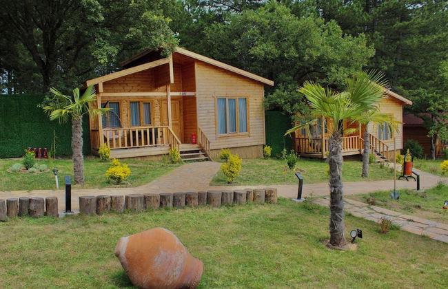 Koru Aura Mengen - Photo 10