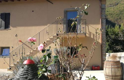 Podere Groppini - Foto 55