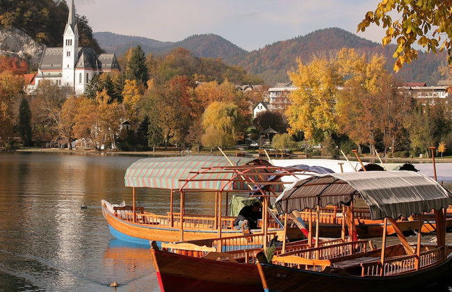 Nice Apartment Near Lake Bled With Views Over Stol Mountain - Foto 29