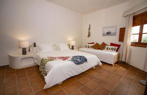 Flor de Cactus, La Graciosa - Foto 10