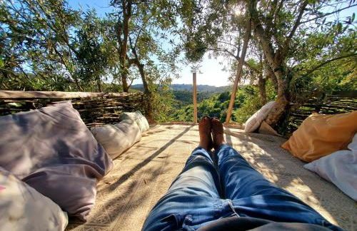 Quinta Vida Verde - Foto 50