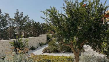 CIRERA SICILY - Foto 3