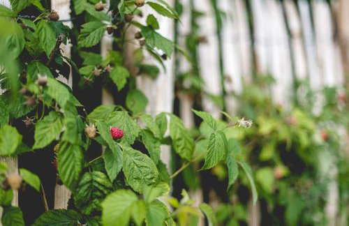 Ferienhof Mrowka - Photo 8