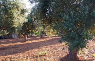 Villa charmante à Arpaillargues-et-Aureillac avec piscine privée - Photo 13