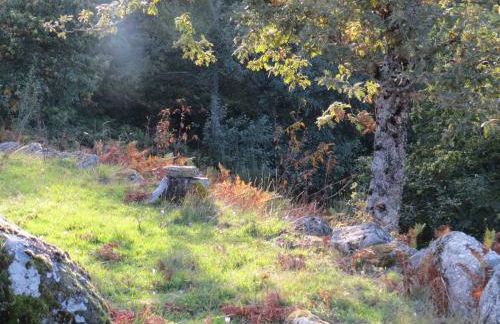 Comfortable Rural Cottage in Ancient Village in the Douro Region - Photo 69