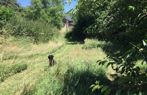 Quoit X Barn - Foto 39