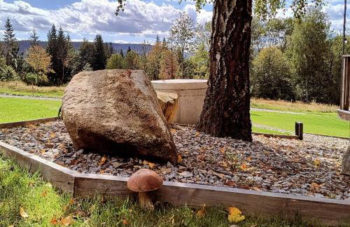 Czarne Domki Krempna z prywatnym jacuzzi - Foto 36