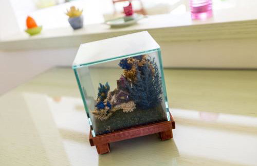 Apartments Casa Saina - Foto 80