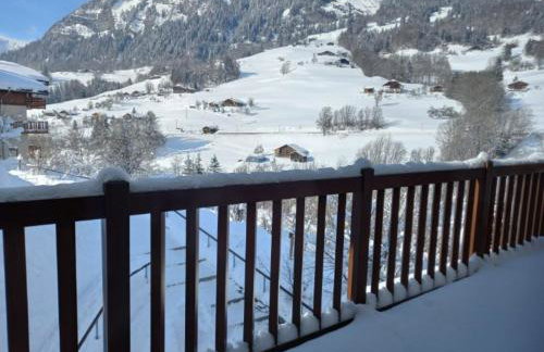 Chalets des Evettes- appartement vue montagne - Foto 12