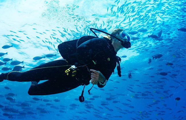Baptême de plongée à Puerto Madryn - Photo 2