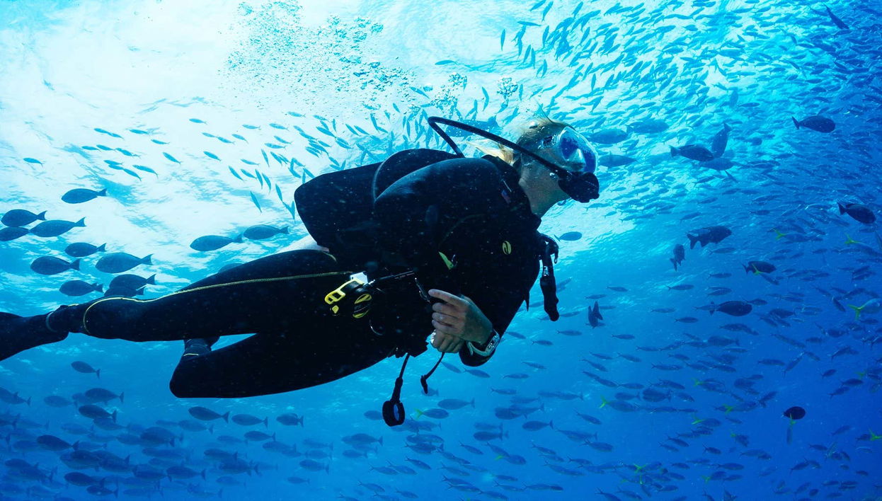 Scuba Diving for Beginners in Puerto Madryn
